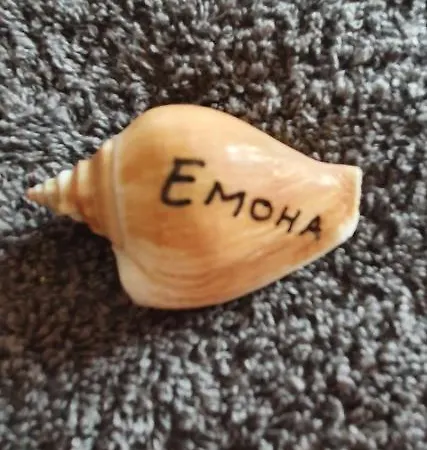 бутикови емона * Ράβντα