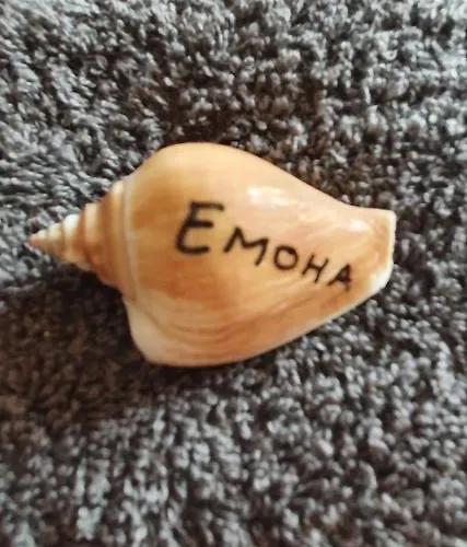 бутикови емона * Ράβντα